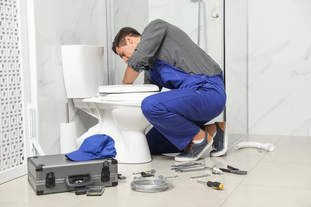 Toilet Repair in Buena Vista